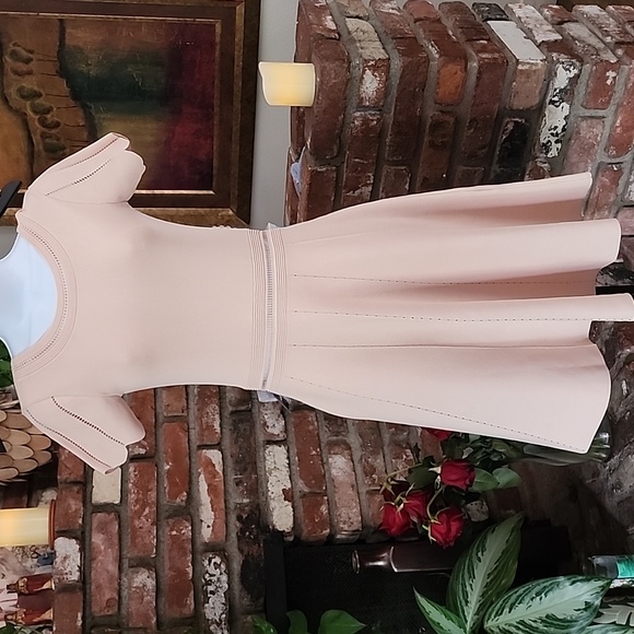 Sandro Paris Blush Pink Fit & Flare Knit Dress Short Sleeve A-Line - Picture 1 of 17